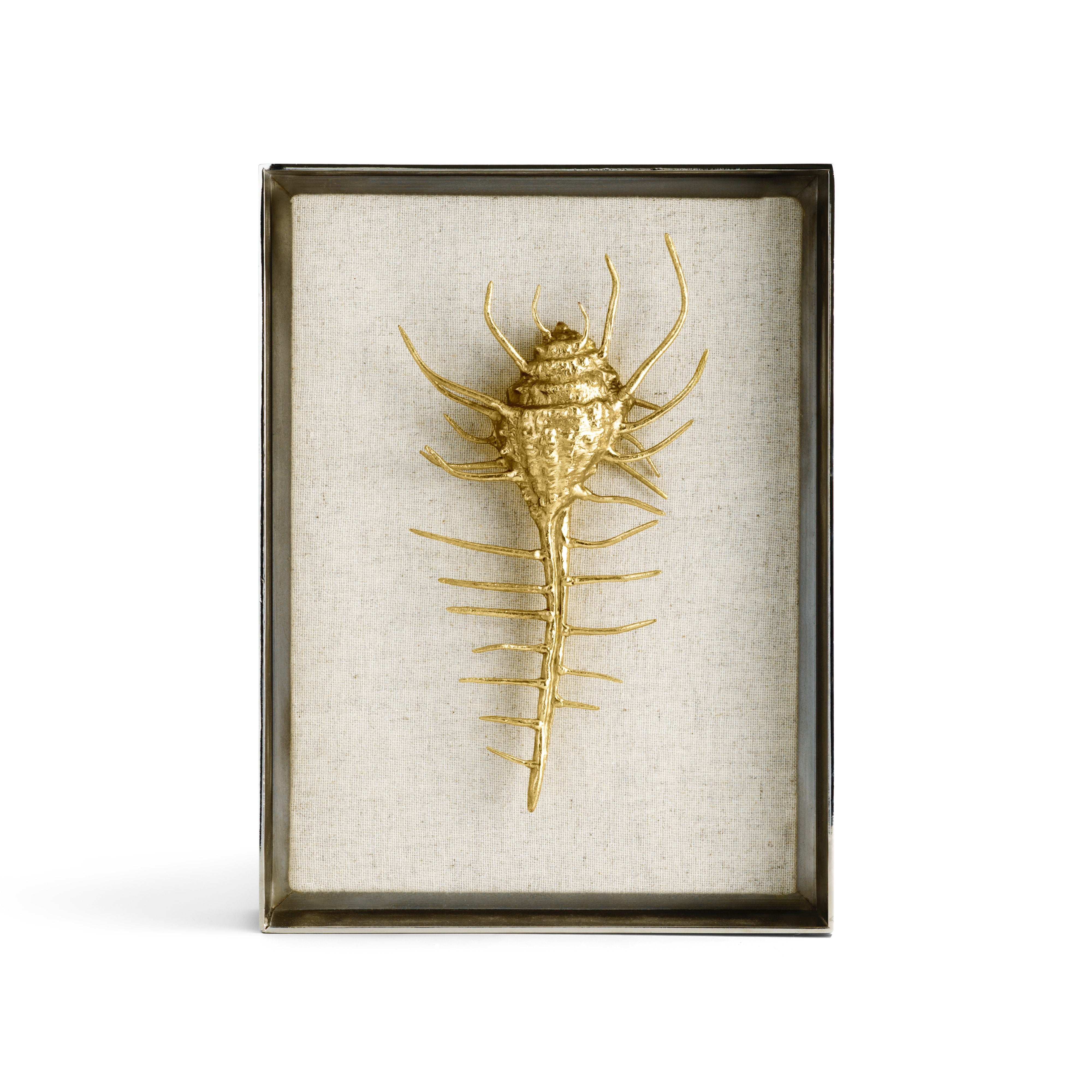 http://michaelaram.com/cdn/shop/products/michael-aram-venus-comb-shell-fabric-shadow-box-408478.jpg?v=1604543634