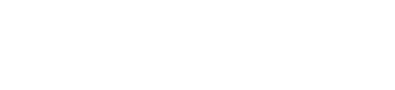 Michael Aram