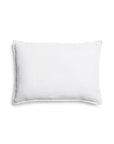 Michael Aram Butterfly Ginkgo Ombre Embroidered Dec Pillow Sky and Crème
