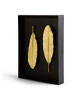 Michael Aram Champa Leaf Shadow Box