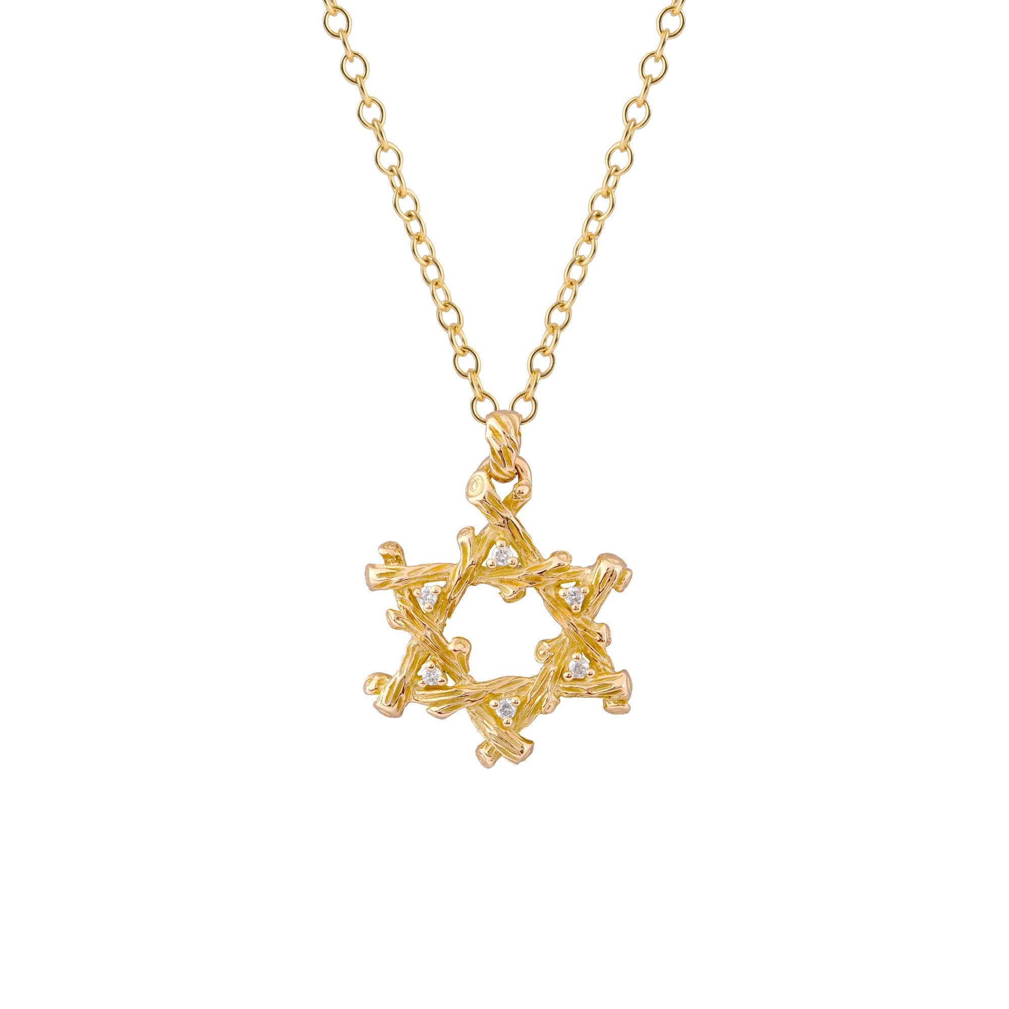 Michael Aram Enchanted Forest Star of David Pendant Necklace with Diamonds