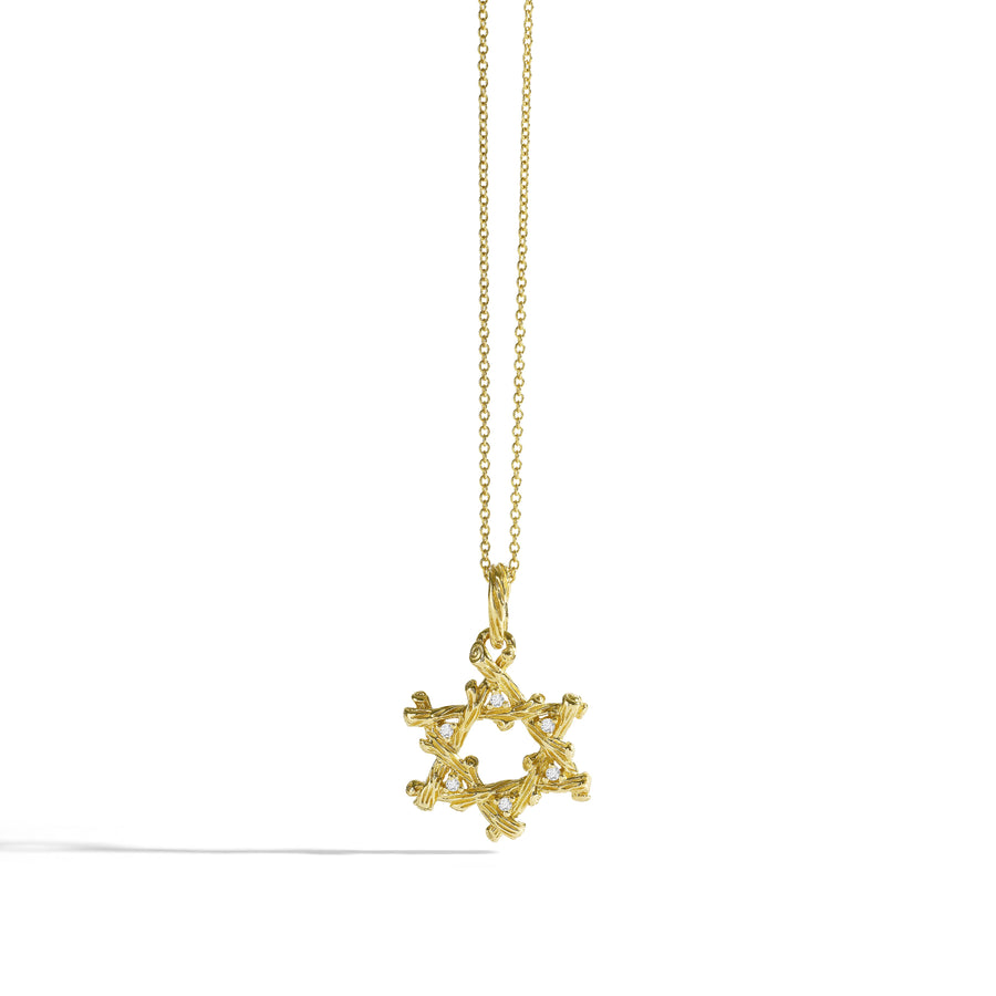 Michael Aram Enchanted Forest Star of David Pendant Necklace with Diamonds