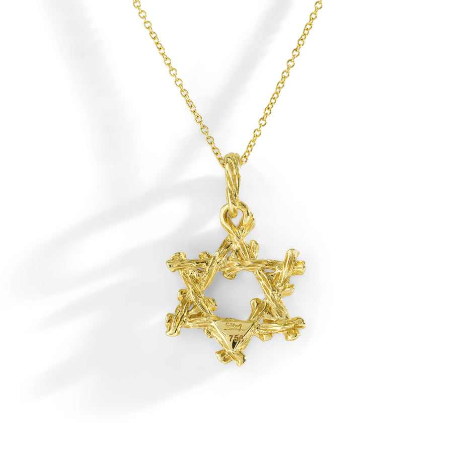 Michael Aram Enchanted Forest Star of David Pendant Necklace with Diamonds