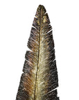 Michael Aram Feather Sculpture