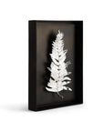 Michael Aram Fern Shadow Box