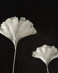 Michael Aram Ginkgo Leaf Shadow Box