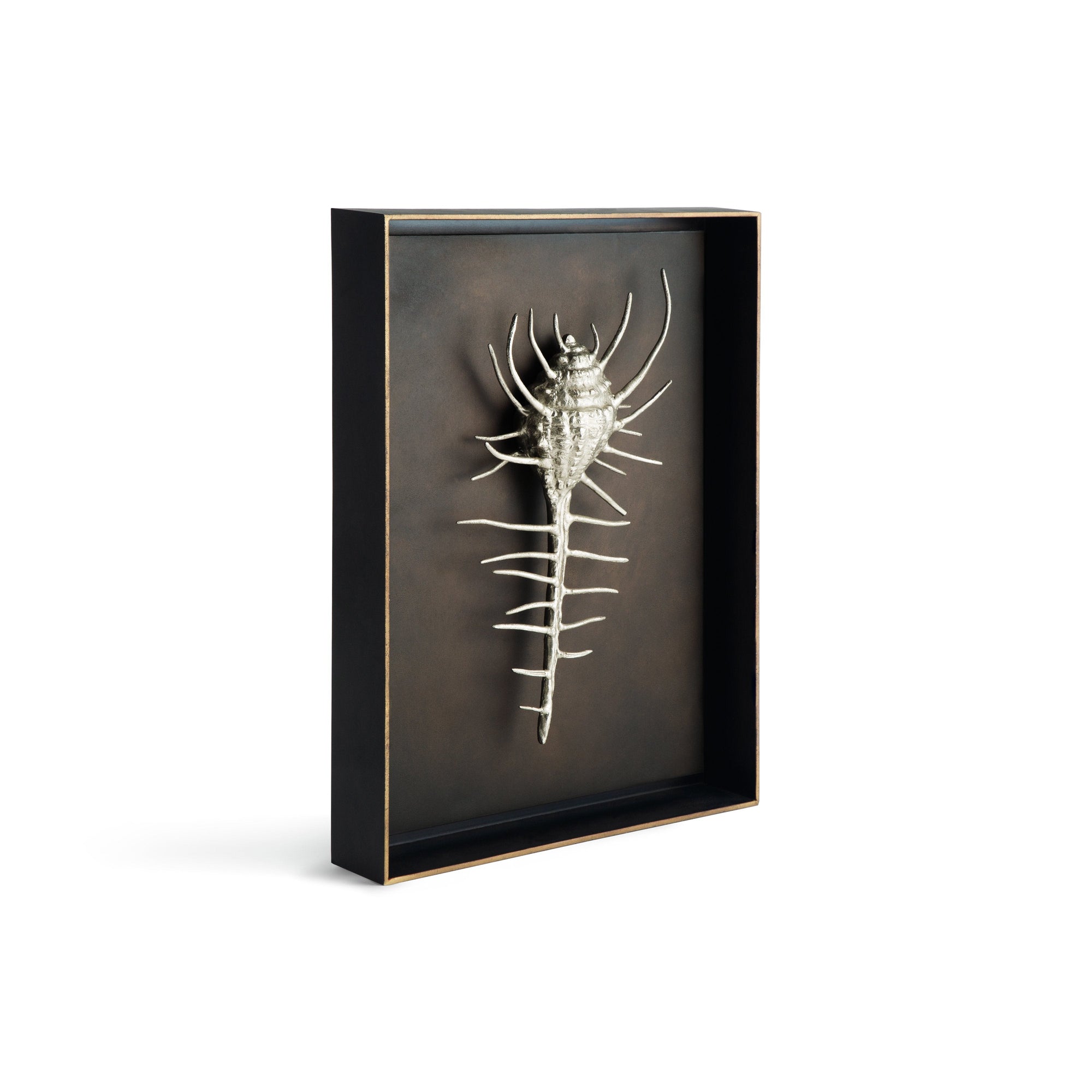 Michael Aram Venus Comb Shell Shadow Box